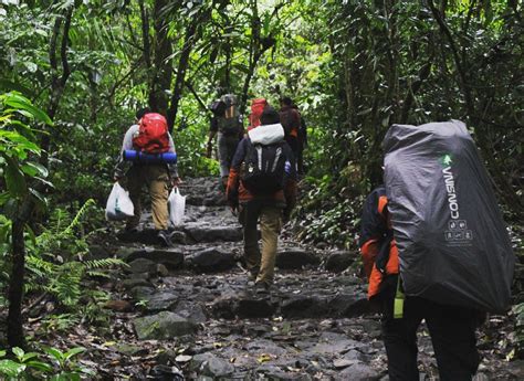 naik-naik ke puncak gunung